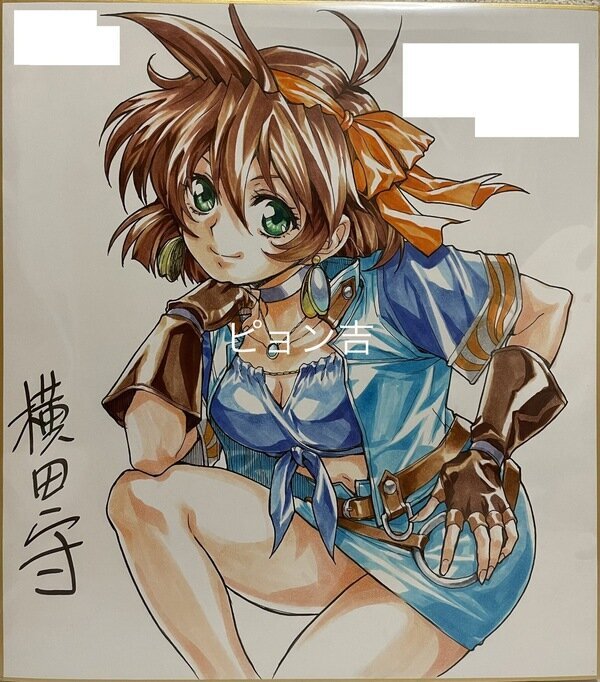 Educational authentic reference image (waawrtttt). — educational authentic (REAL) shikishi reference associated with Mamoru Yokota