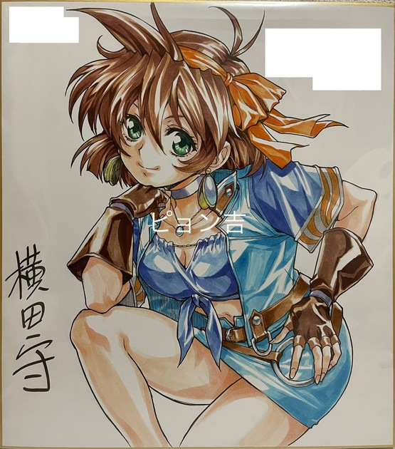 Educational authentic reference image (awrawrwaewartrw). — educational authentic (REAL) shikishi reference associated with Mamoru Yokota