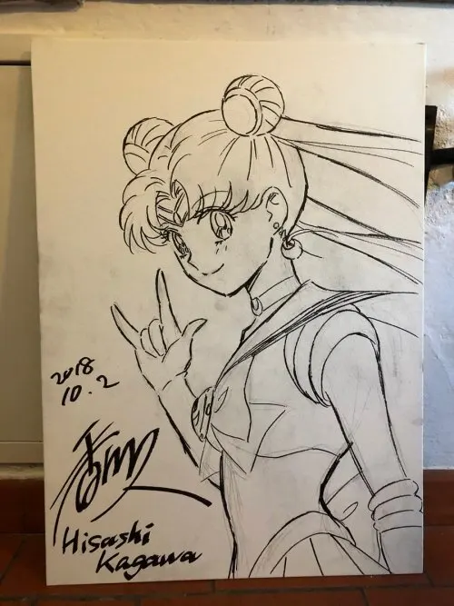 Educational authentic reference image (tumblr_3fdc50e41101fe2f7fa951603d3d1b38_24846f9e_500). — educational authentic (REAL) shikishi reference associated with Hisashi Kagawa