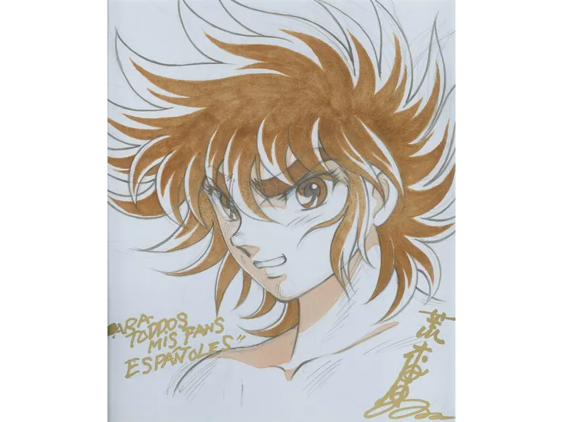 Educational authentic reference image (Seiya 2). — educational authentic (REAL) shikishi reference associated with Shingo Araki