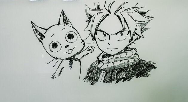 Educational authentic reference image (Natsu Fairy Tail(3)). — educational authentic (REAL) shikishi reference associated with Hiro Mashima