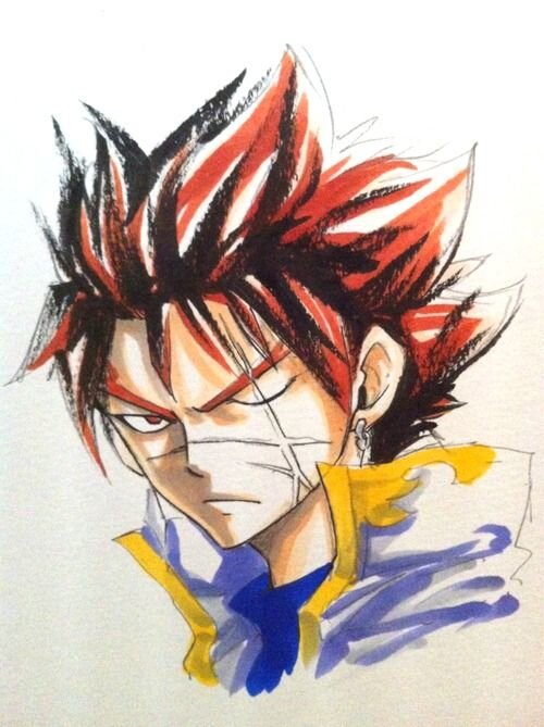 Educational authentic reference image (Fairy Tail Family(3)). — educational authentic (REAL) shikishi reference associated with Hiro Mashima
