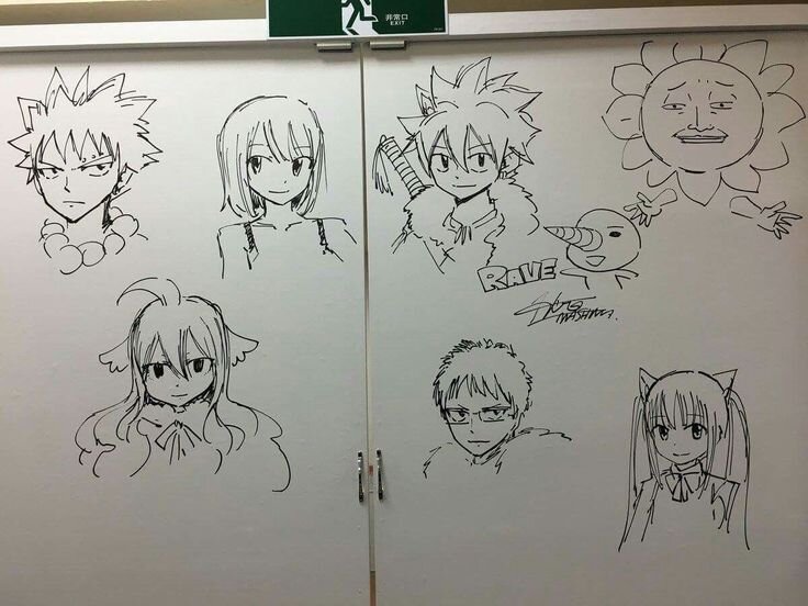 Educational authentic reference image (Hiro Mashima Erza). — educational authentic (REAL) shikishi reference associated with Hiro Mashima