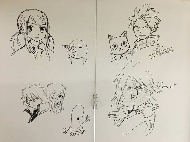 Educational authentic reference image (Lucy Heartfilia Hiro Mashima Art). — educational authentic (REAL) shikishi reference associated with Hiro Mashima