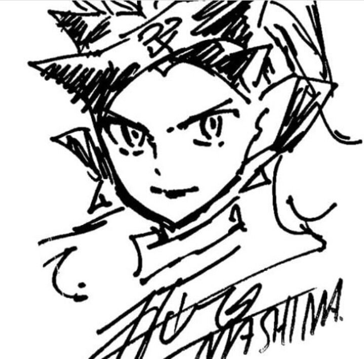 Educational authentic reference image (Fairy Tail Natsu And Lucy(1)). — educational authentic (REAL) shikishi reference associated with Hiro Mashima